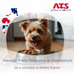 Pierwsze na świecie mięso hodowane w laboratorium dla zwierząt trafia do sprzedaży