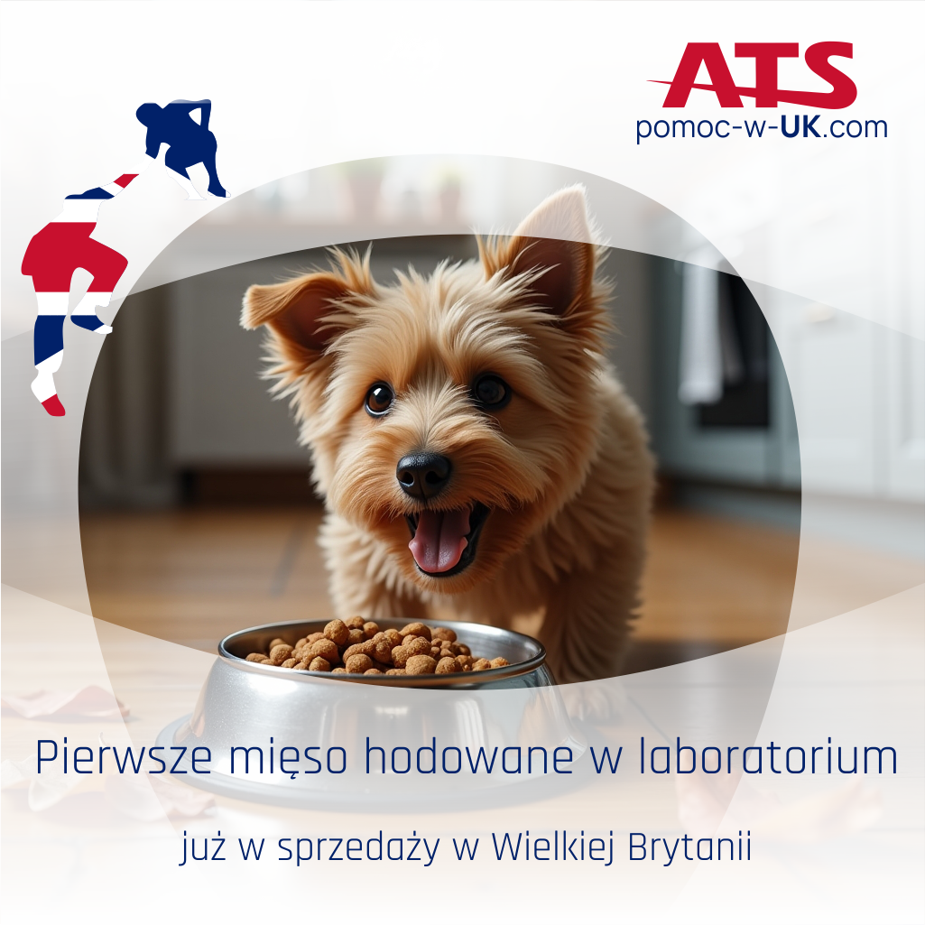 Mięso hodowane w UK